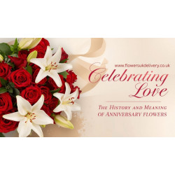 Celebrating Love: The History and Meaning of Anniversary Flowers